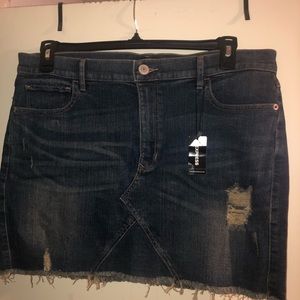Express Denim Skirt